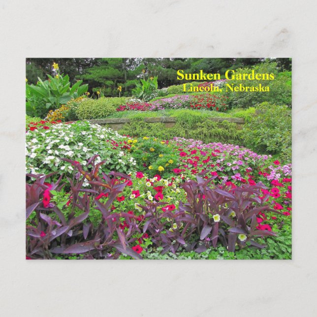 Carte postale SG Landscape #170N 0170 (Devant)