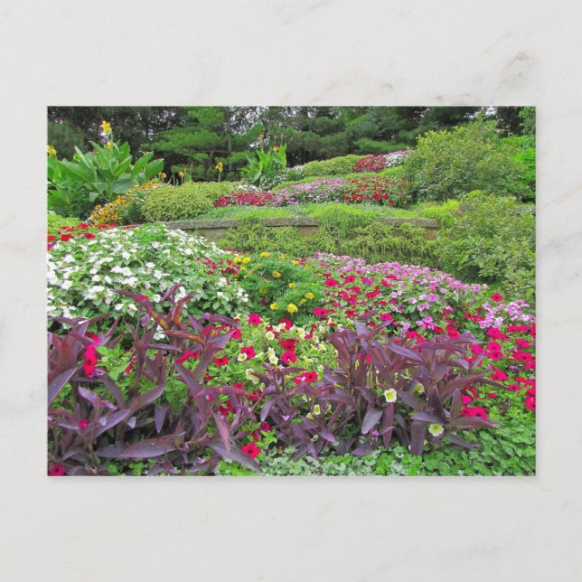 Carte Postale SG Landscape Postcard #40N 040 (Devant)