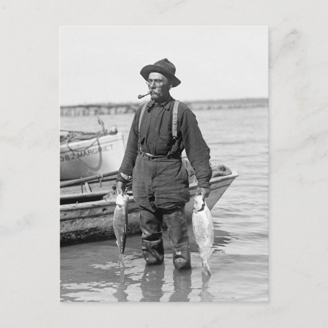 Carte Postale Shad Fishing, début des années 1900 (Devant)
