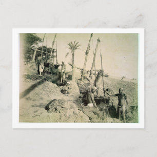 Carte Postale Shadufs en Haute Egypte (photo sepia)