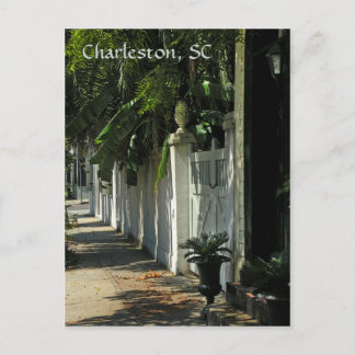 Carte postale Shady Charleston