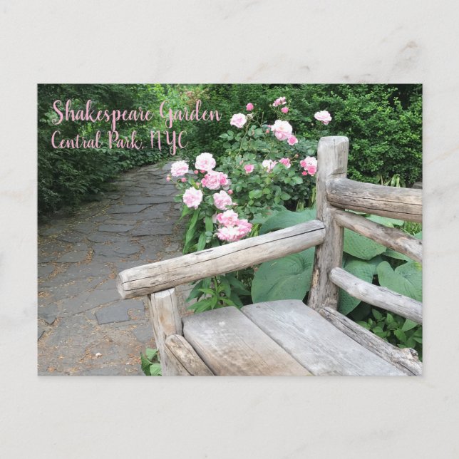 Carte Postale Shakespeare Garden Central Park NYC Rose Roses (Devant)