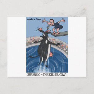 Carte Postale Shamooo Drôle Vache Cadeaux et Objets de collectio