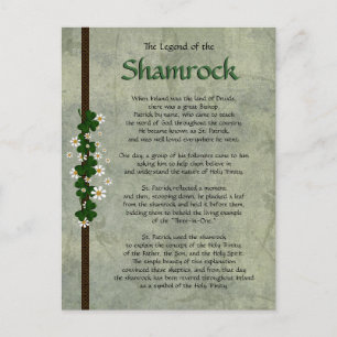 Carte Postale Shamrock