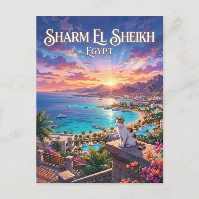 Carte Postale Sharm El Sheikh Égypte (Devant)