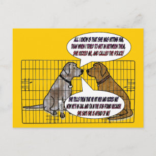 Carte Postale She Kicked The Dog