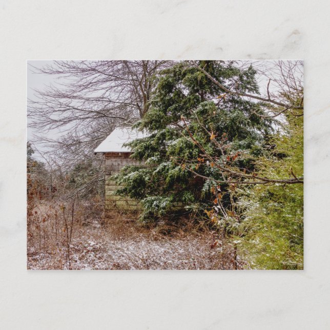 Carte postale Shed Abandonnée (Devant)