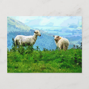 CARTE POSTALE SHEEP DE MONTAGNE