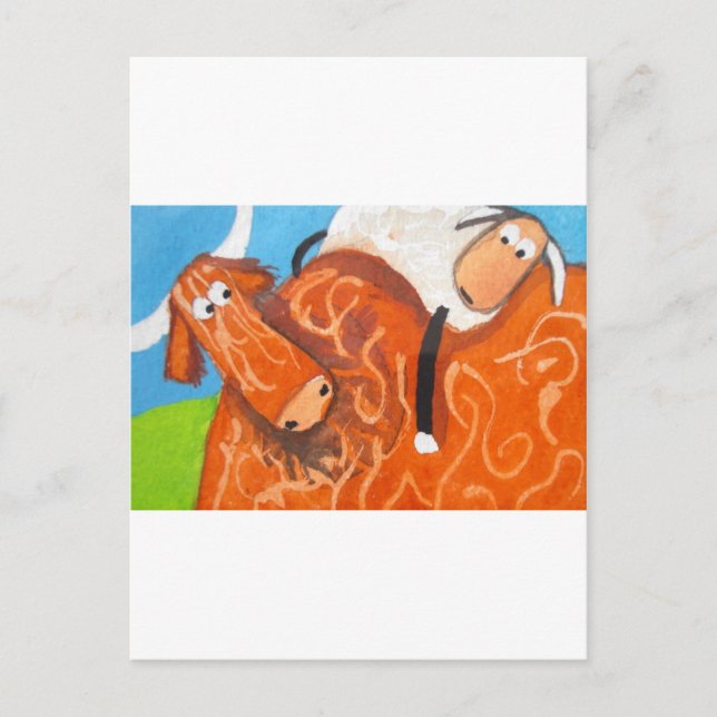 CARTE POSTALE SHEEP DE VACHE HIGHLAND (Devant)