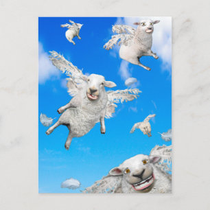 CARTE POSTALE SHEEP DE VOL 2