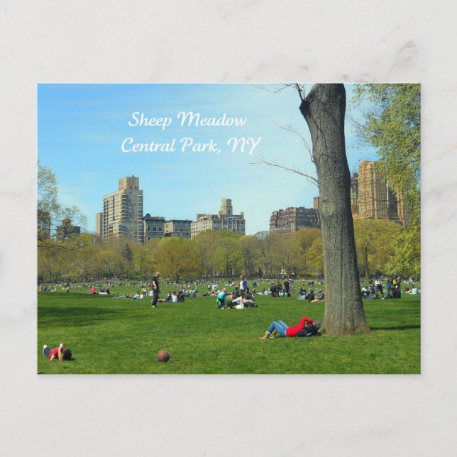 Carte Postale Sheep Meadow, Central Park, New York (Devant)