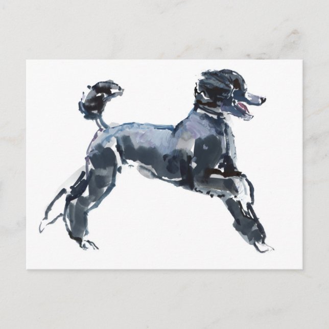 Carte Postale Sheer Class 2013 (Devant)