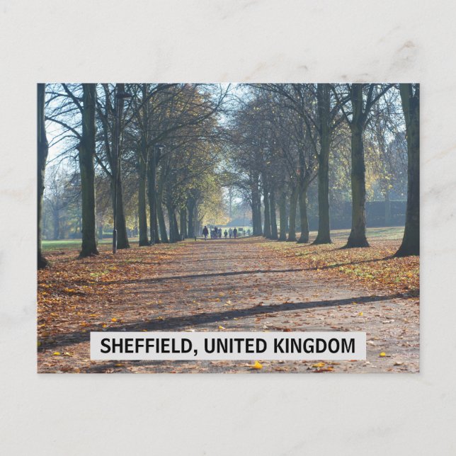 Carte postale Sheffield, Royaume-Uni (Devant)