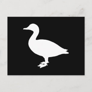 Carte Postale Sheldrake Duck