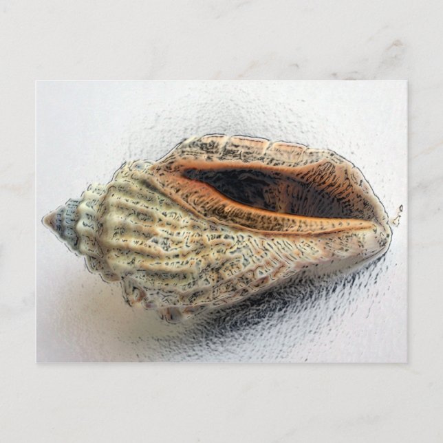 Carte postale Shell (Devant)