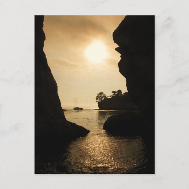 Carte Postale Shell Beach (Devant)