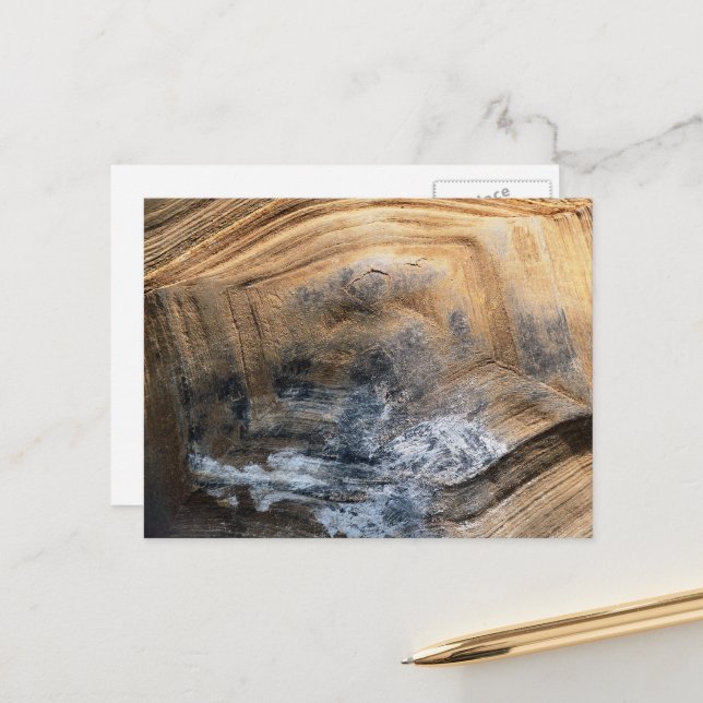 CARTE POSTALE SHELL GÉANT TORTOISE (Devant/Arrière en situation)