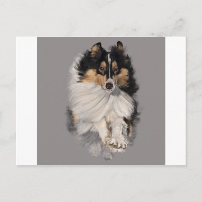 Carte Postale Shellie en mouvement (Devant)