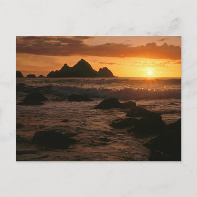 Carte Postale Shelter Cove (Devant)