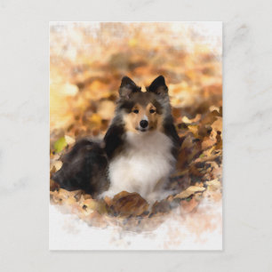 Carte Postale Sheltie Shetland Sheepdog Art Peinture