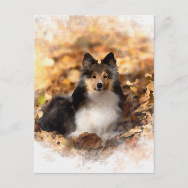 Carte Postale Sheltie Shetland Sheepdog Art Peinture (Devant)