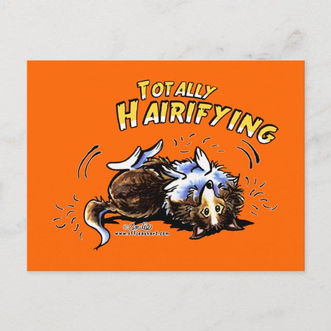 Carte Postale Sheltie Totalement Hairifying (Devant)