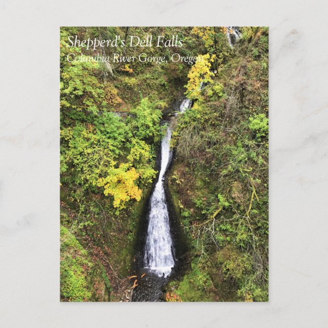 Carte Postale Shepbers Dell Falls, Columbia River Gorge, OU Po (Devant)
