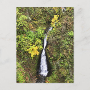 Carte Postale Shepphers Dell Falls, Gorge de Columbia, OR