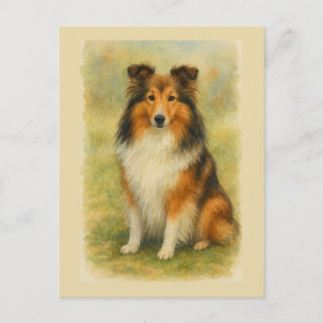 Carte Postale Shetland Sheepdog Assis Aquarelle  (Devant)