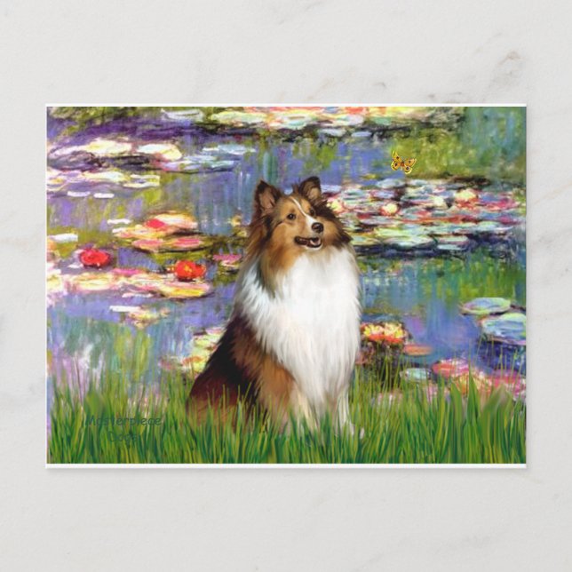 Carte Postale Shetland Sheepdog (Bz) - Lilies 2 (Devant)