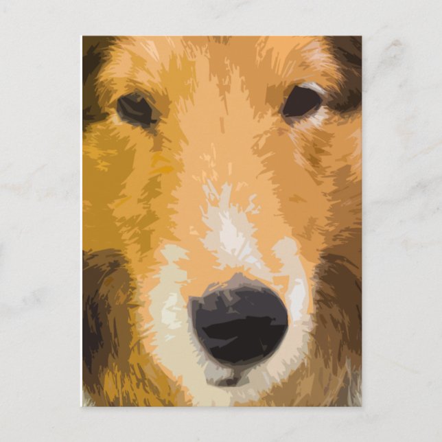 Carte postale Shetland Sheepdog Close Up (Devant)