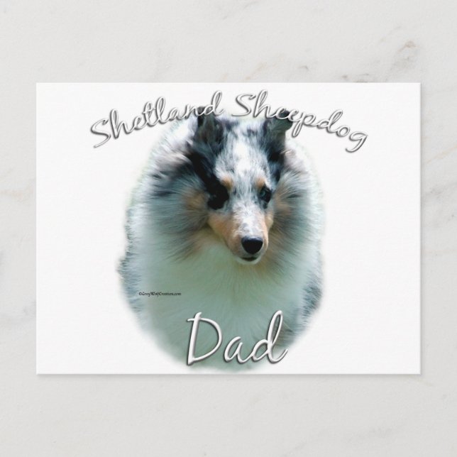 Carte Postale Shetland Sheepdog (merle) Papa 2 (Devant)