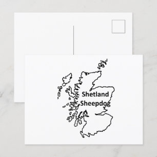 Carte Postale Shetland Sheepdog Nom dans l'origine