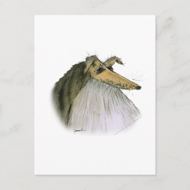 Carte Postale Shetland Sheepdog, tony fernandes (Devant)