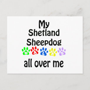 Carte Postale Shetland Sheepdog Walks Design