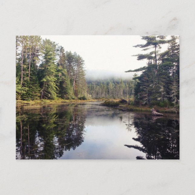 Carte Postale Shewenegan (Devant)