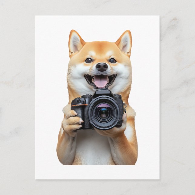 Carte Postale Shiba Inu     (Devant)