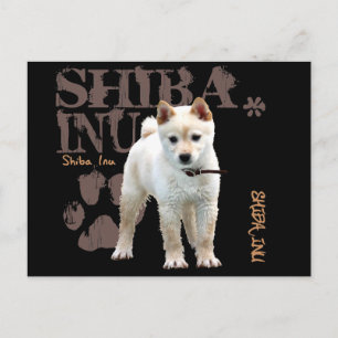 Carte Postale Shiba Inu