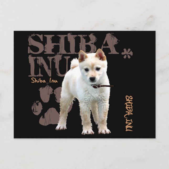 Carte Postale Shiba Inu (Devant)