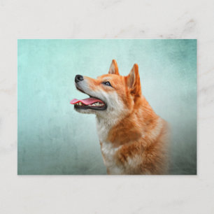 Carte Postale Shiba Inu dog