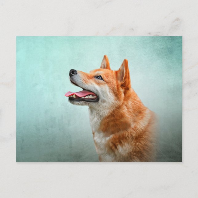 Carte Postale Shiba Inu dog (Devant)