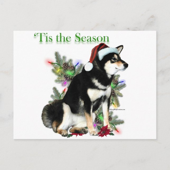 Carte Postale Shiba Inu 'Tis (Devant)