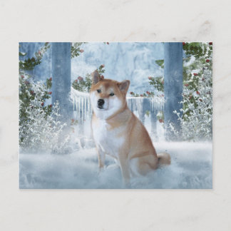 Carte postale Shiba Inu Winter