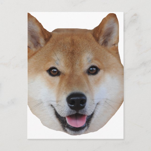 Carte Postale shibe.png (Devant)