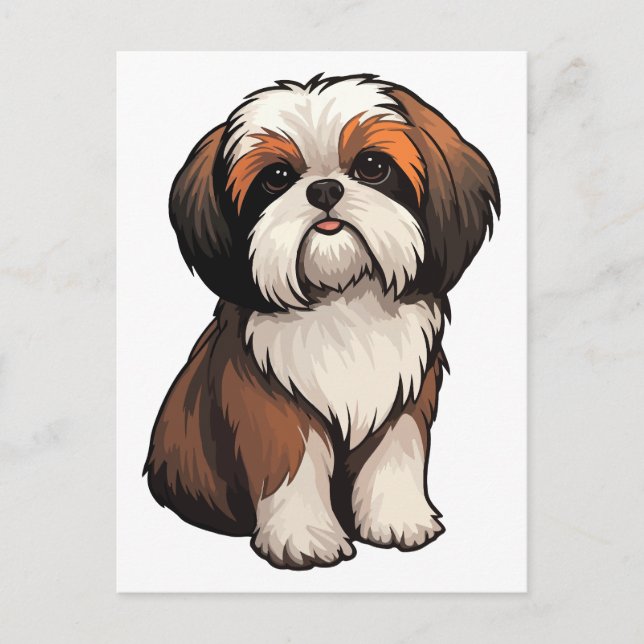 Carte Postale Shih Tzu (Devant)