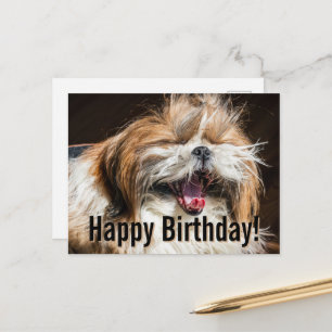 Carte Postale Shih tzu bâillant en riant Joyeux anniversaire 