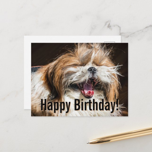 Carte Postale Shih tzu bâillant en riant Joyeux anniversaire  (Devant/Arrière en situation)