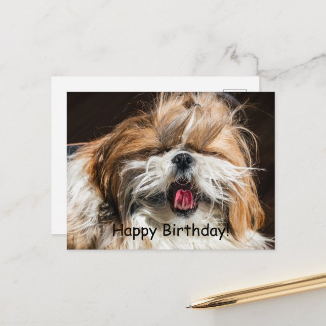 Carte Postale Shih tzu bâillant langue drôle mignon Joyeux anniv (Devant/Arrière en situation)