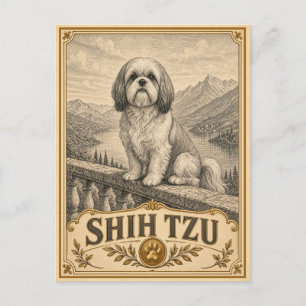 Carte Postale Shih Tzu, chien du patrimoine vintage