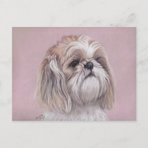 Carte postale Shih tzu Dog Art
